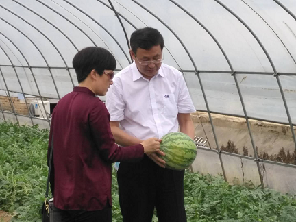 打开香港图库资料